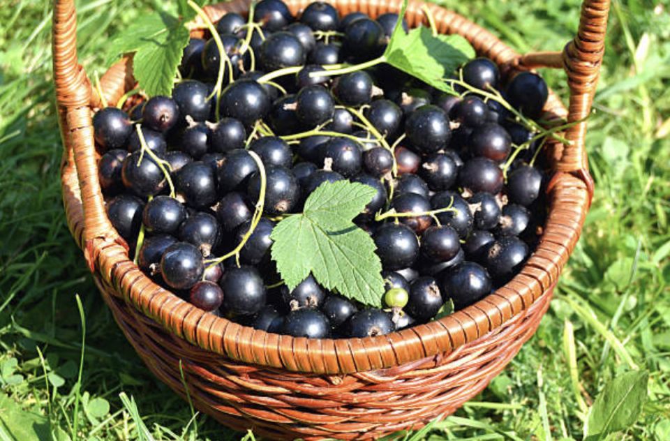 ��� ��������� ������� ����� ���������: ������ ��� ��������