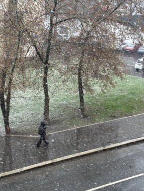 ������ ������ ���� � �����