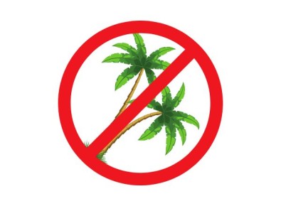 ��������� �����: ��� ���������� �� ���� ���������� ������������?