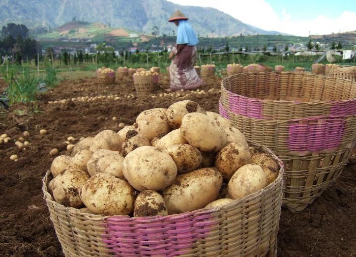 ��� �������� ��������� �� �����: ����������� ������ ������