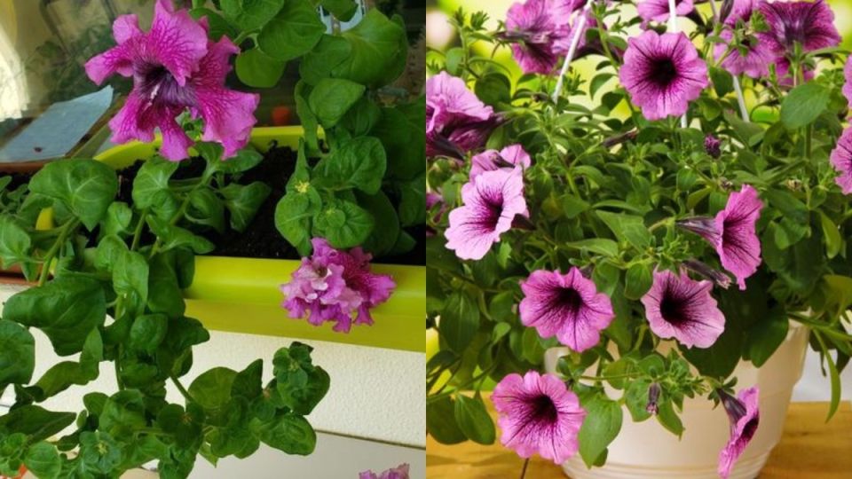 ��� ������� �������� ������ �� ��������� ������� ����� ��� �� ��� ������