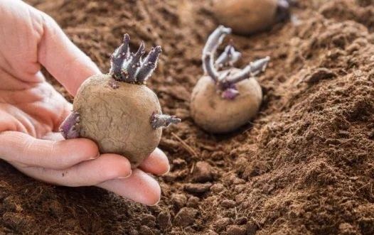 ��������� �����: ��� ���� �������� ��������� �������� �� 700 �� � �����