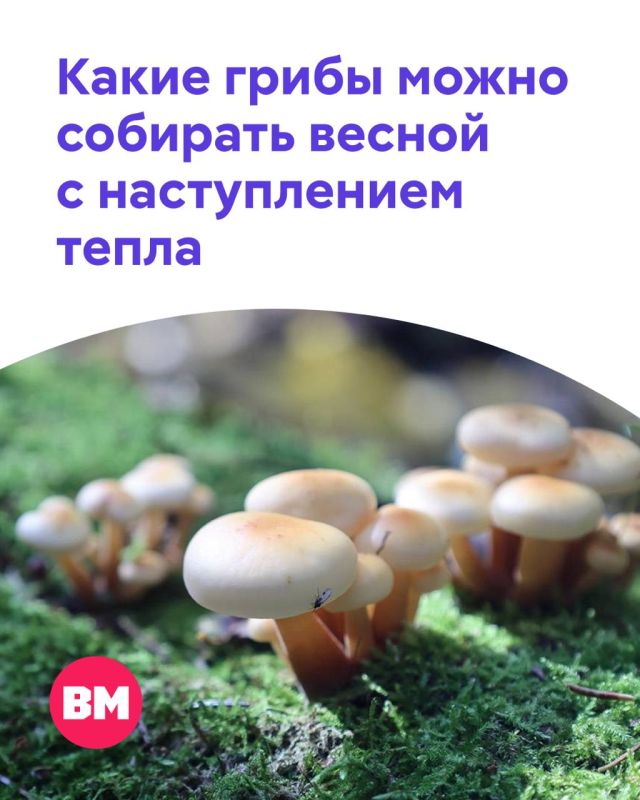 ������ ����� � ����� �����: � ��������� ������� �������� ������� �����