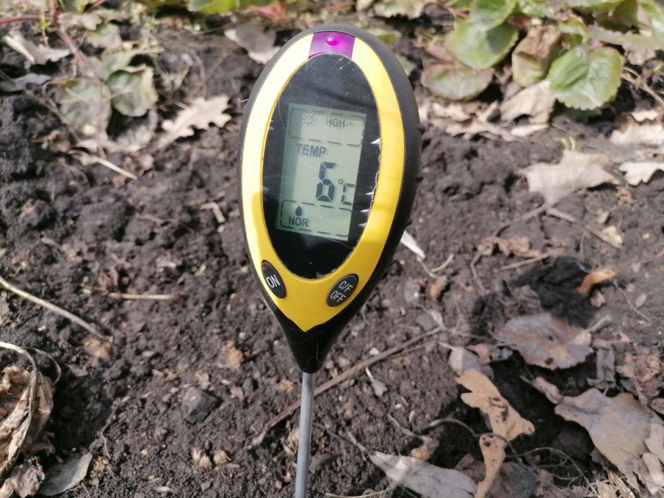 ����� ������: ��������� ����������� ����� ��� ��������� ������