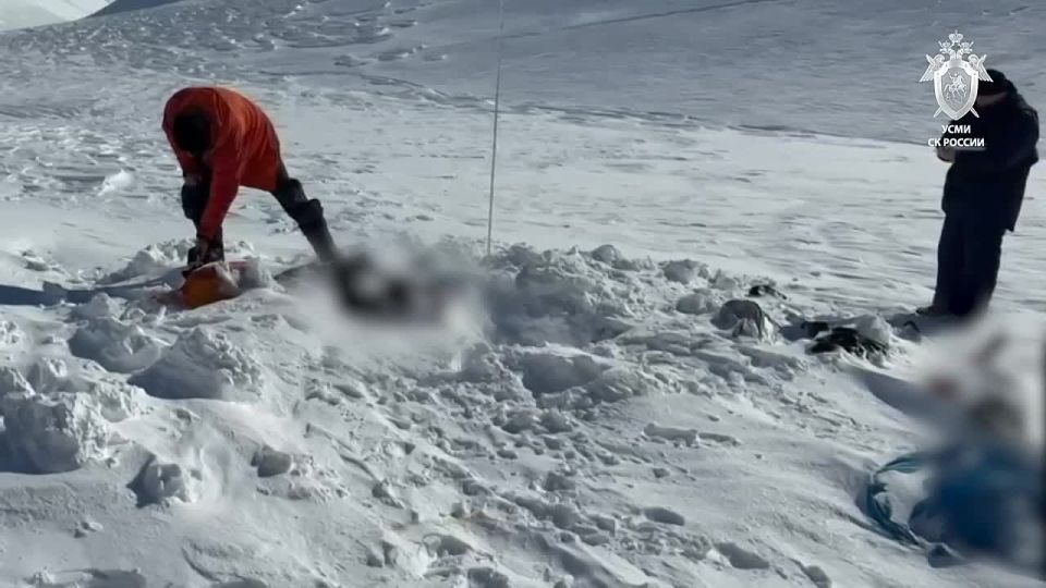 �� �������� � ���������� ���� ����� ���� ���� �������� �������� �� ����������