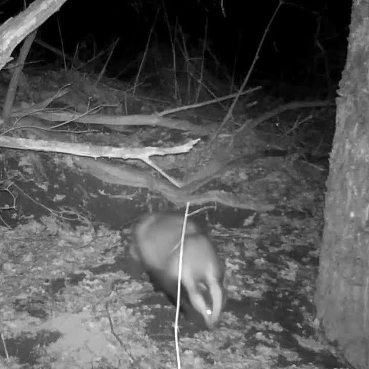 ������� � ��� �������� ����� ������