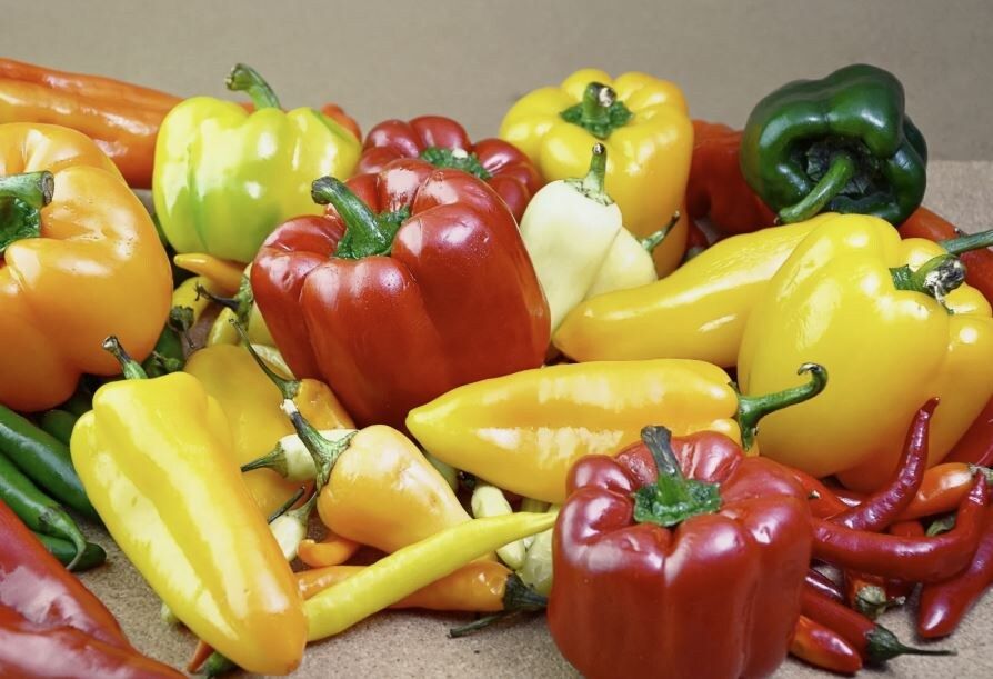 ������� �������� �����: 5 �������� ��������� �������� �� ����