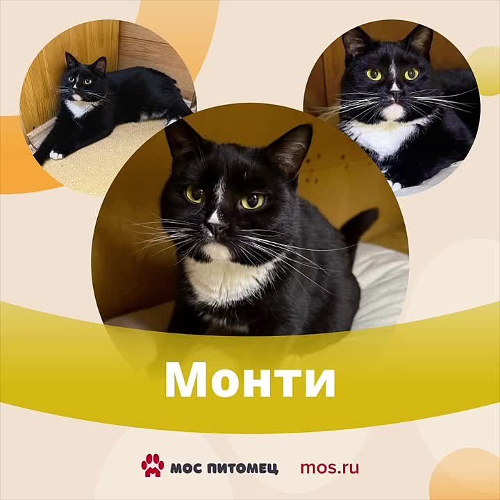 � ���� �������� �������� ���������� � ���, ��� �� ������ ������� ��������� �� ���������� ������ � ������� ������� ������������