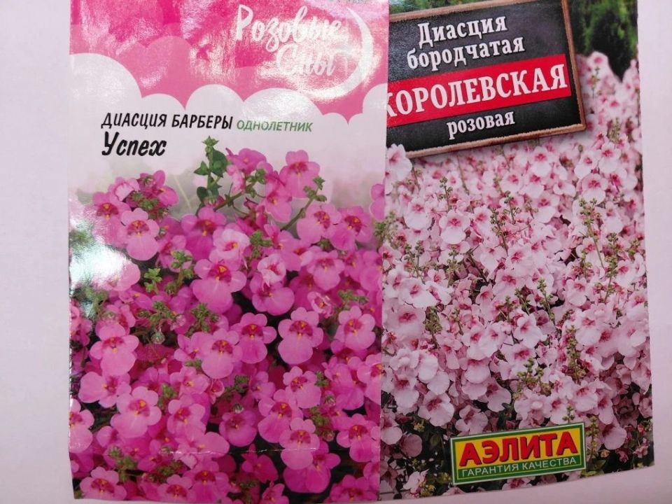 �������: ��� ���������� ��� ���������� ��������