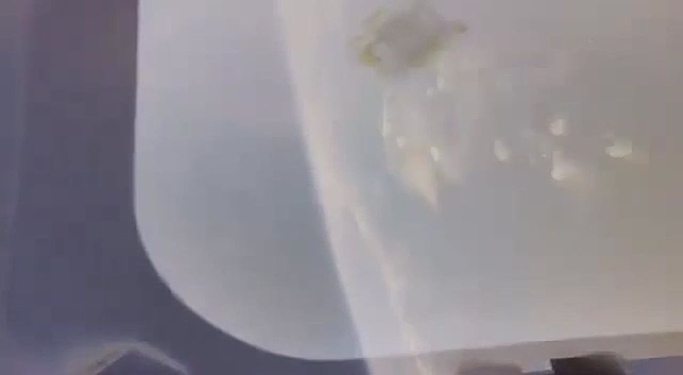 ����� �� ������� � � ���� ������������ ����� ����������� ������������ ������� Orion ����� ������