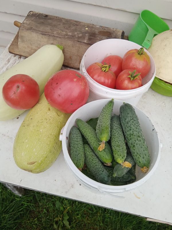 ������� ������� ��������� �� ����: ������� ������� ��� �������