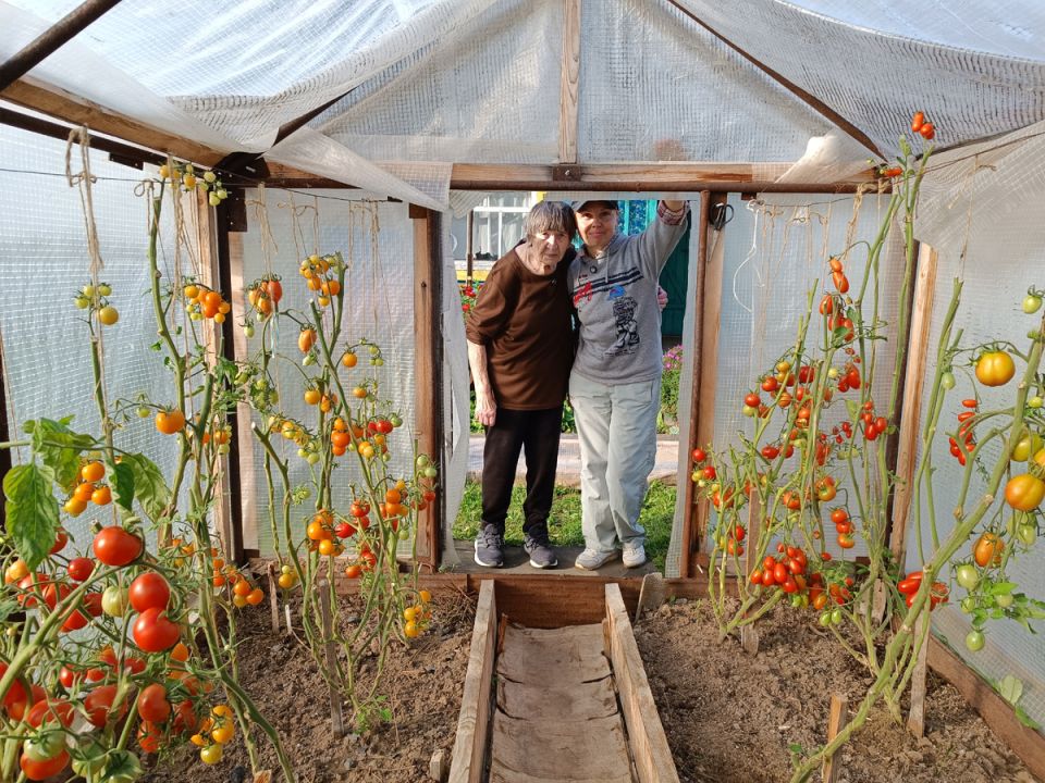 ������� ������ ������ � �������: ���� � ������ ������ �������