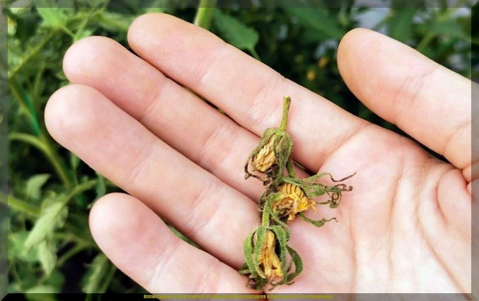 ������� �������� ������ � ������� � ����� � ������� � �������