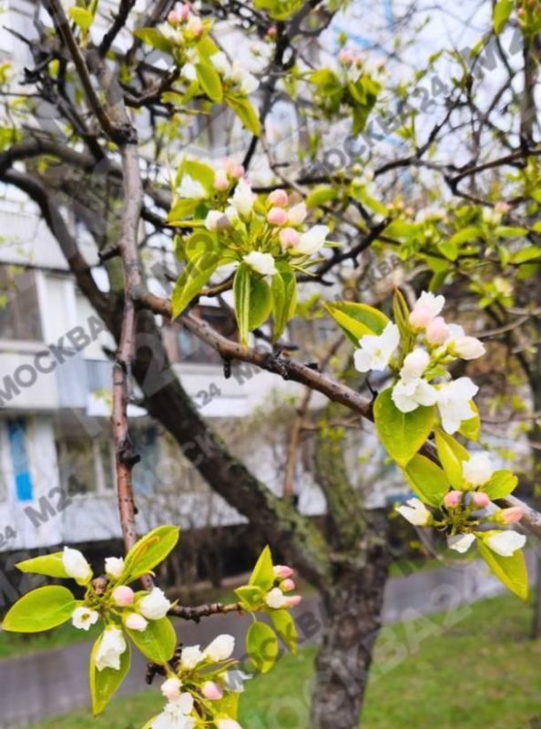 ���������: �� ��������� ������ ��������� ���������� �� +15��, �� ����� ������ ���� ����� ���� �����