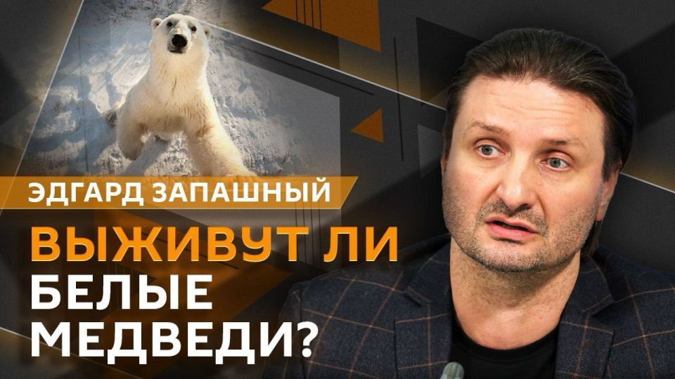 "����� �������" � �������� �������� � ����� ����