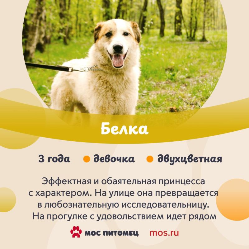 � ������������ ���� � ������������ ��������! � ��������� ������� ����� ��������� �� ���������� �������