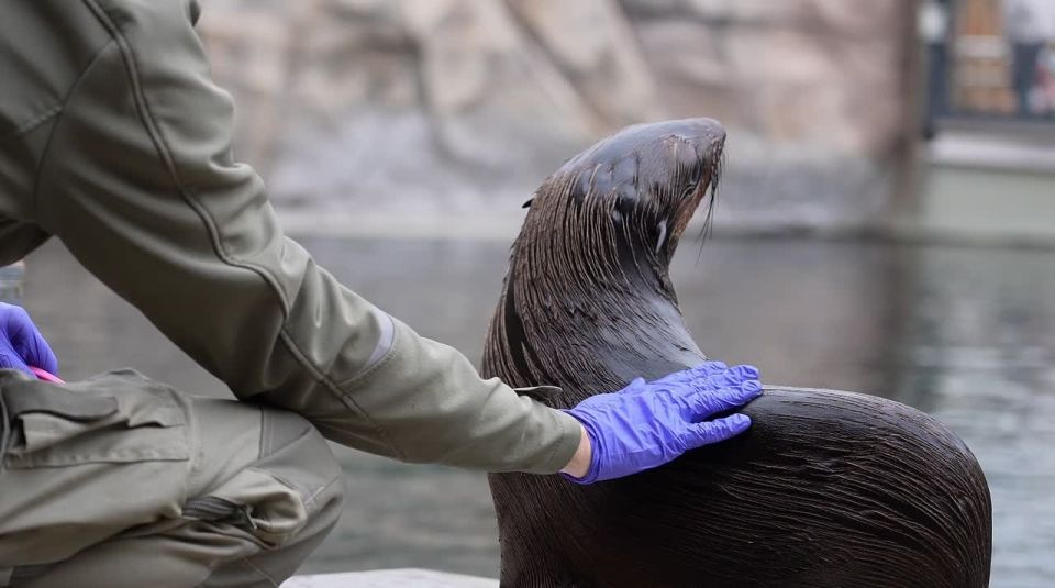 ������� �������� ������ �� ������ ����� �������� � �������� ������� ����������� �������� ����� ����