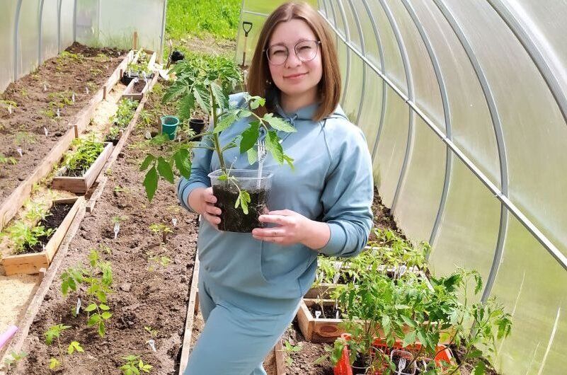 ������� ������� �������: �������� �� ��� ��������� �� ������ �������?