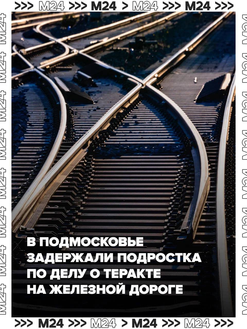 Подростка из Подмосковья обвиняют в четырёх эпизодах терроризма на железной дороге, сообщили в СК РФ