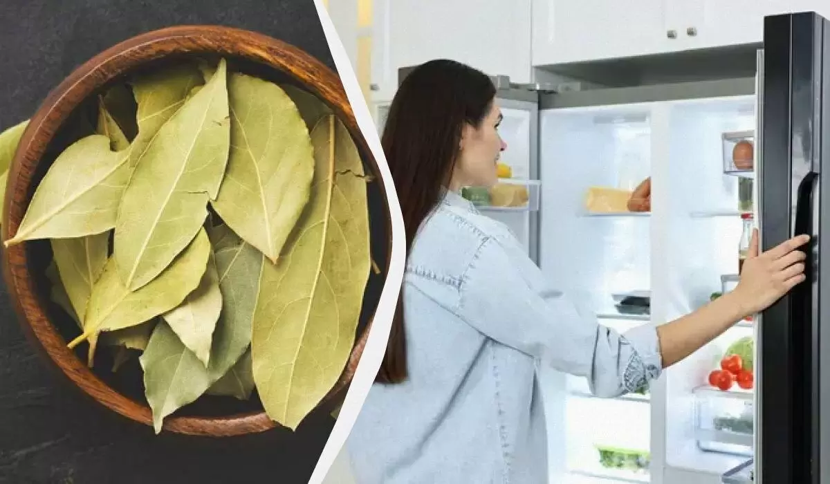 Лавровый лист: секреты, о которых не все знают