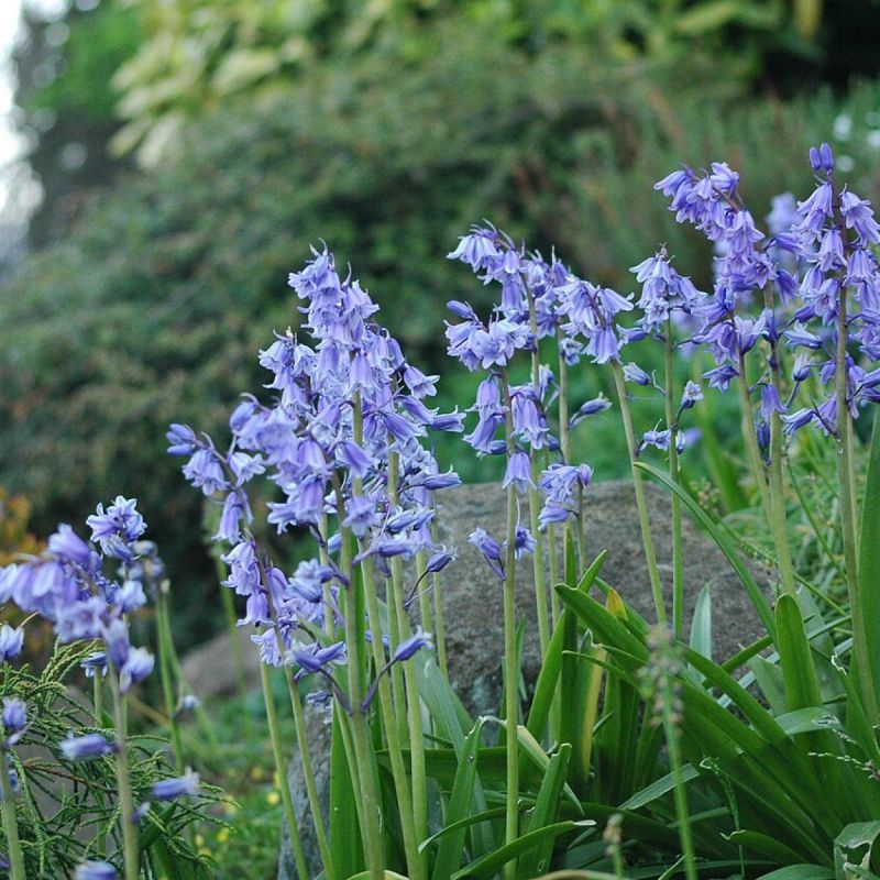 �������� � ����� ����: ��� ������� �������� �������� �������