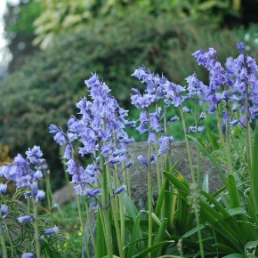 �������� � ����� ����: ��� ������� �������� �������� �������