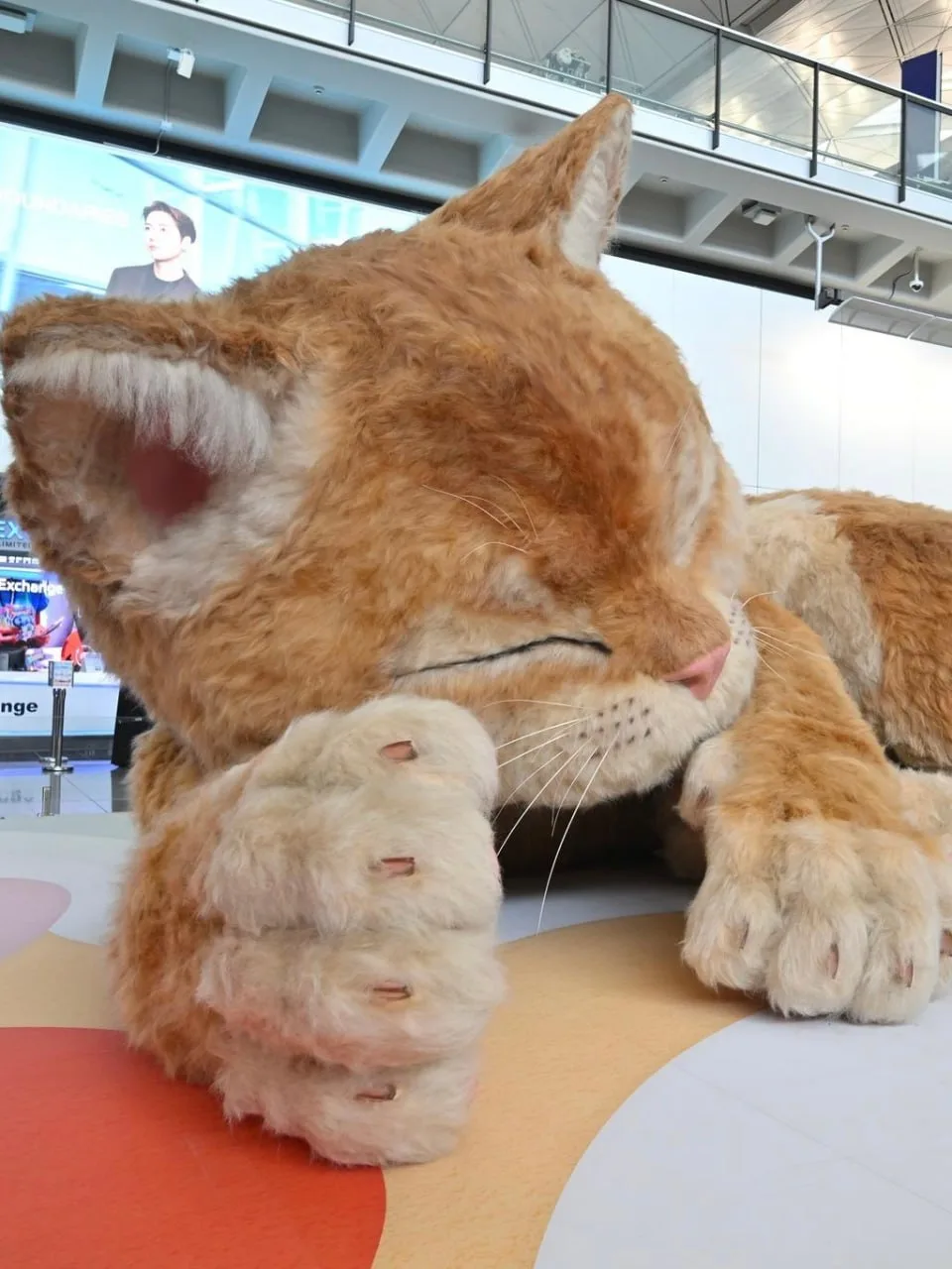 Гигантского мурлыкающего кота установили в международном аэропорту Гонконга Гигантского мурлыкающего кота установили в международном аэропорту Гонконга