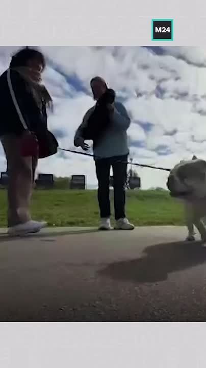 ������ ���� �� ������� ����� �������� � ����������: ��� ��������� ��������� ���������� ��������