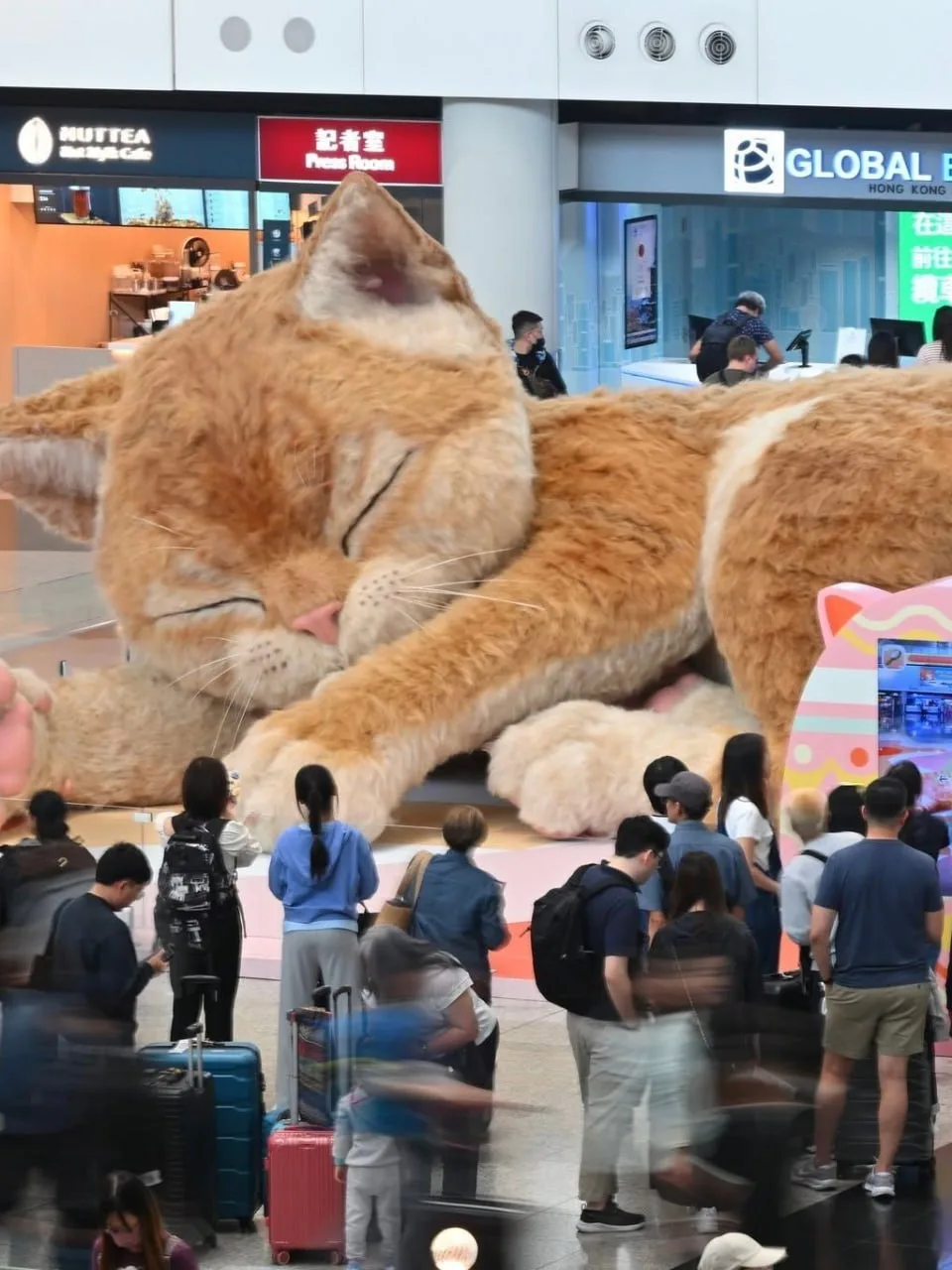 Гигантского мурлыкающего кота установили в международном аэропорту Гонконга