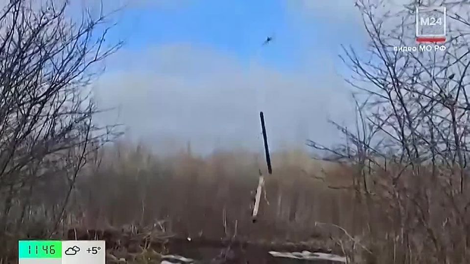 ������ �������: �� ���������� ������� 24� ���������� � �������� �� ���