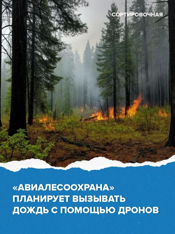 ������ ������ �������� ������ ������������ ������������ ������ �������� ��� ���������� ���������� � ������� ���������� ��������� �������