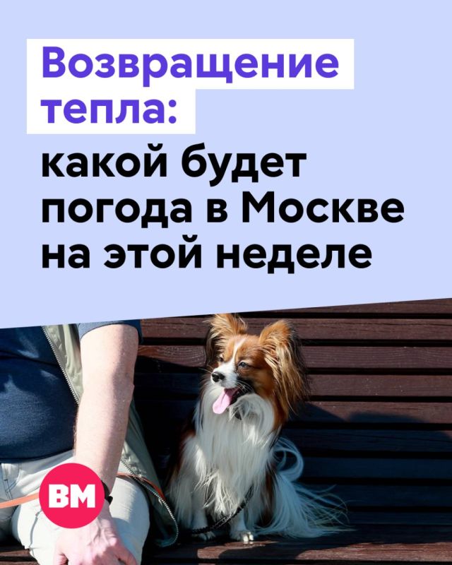 ��������� ������ �� ������� ������ ������� ��������� ����� � ���� � �� ������ � �������