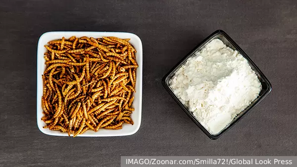 Насекомые на столе: новое слово в европейской гастрономии