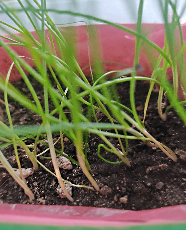 ������ ����� ��������� ����� ��� ������� ����