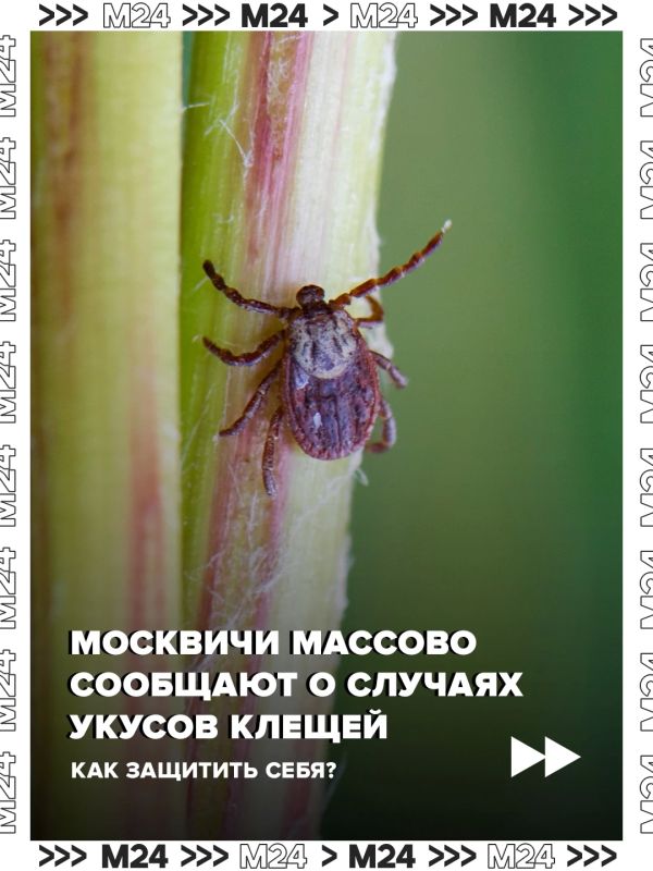 ������ ����� � ��� ��������, � ������� � ������ ������ ���� ���������������� ���������� ���������� ������ ������