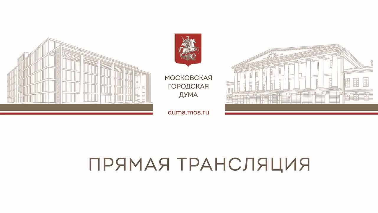 В формате видеоконференции проходит заседание комиссии МГД по экономической и социальной политике