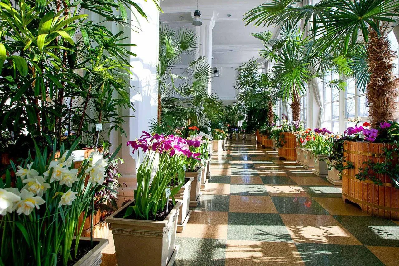 Где искать весеннее настроение в Москве, если за окном только серость и тучи?