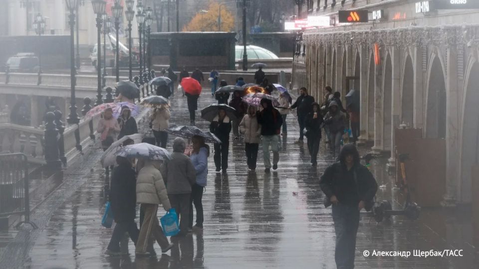 ��������� � ������� ��� ����� � ������ ����� �������� �� 8 �� �������, �������� ���� � ��������������