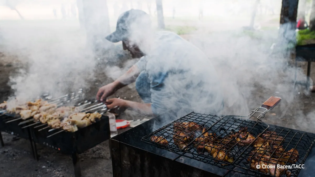 Жарить шашлыки во дворах многоквартирных домов, а также на балконах и в квартирах запрещено, рассказали ТАСС эксперты