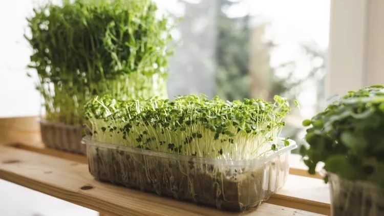 ������, ������� �������� ��� ������� ��������� ����: 5 ���������� �������� � �������������