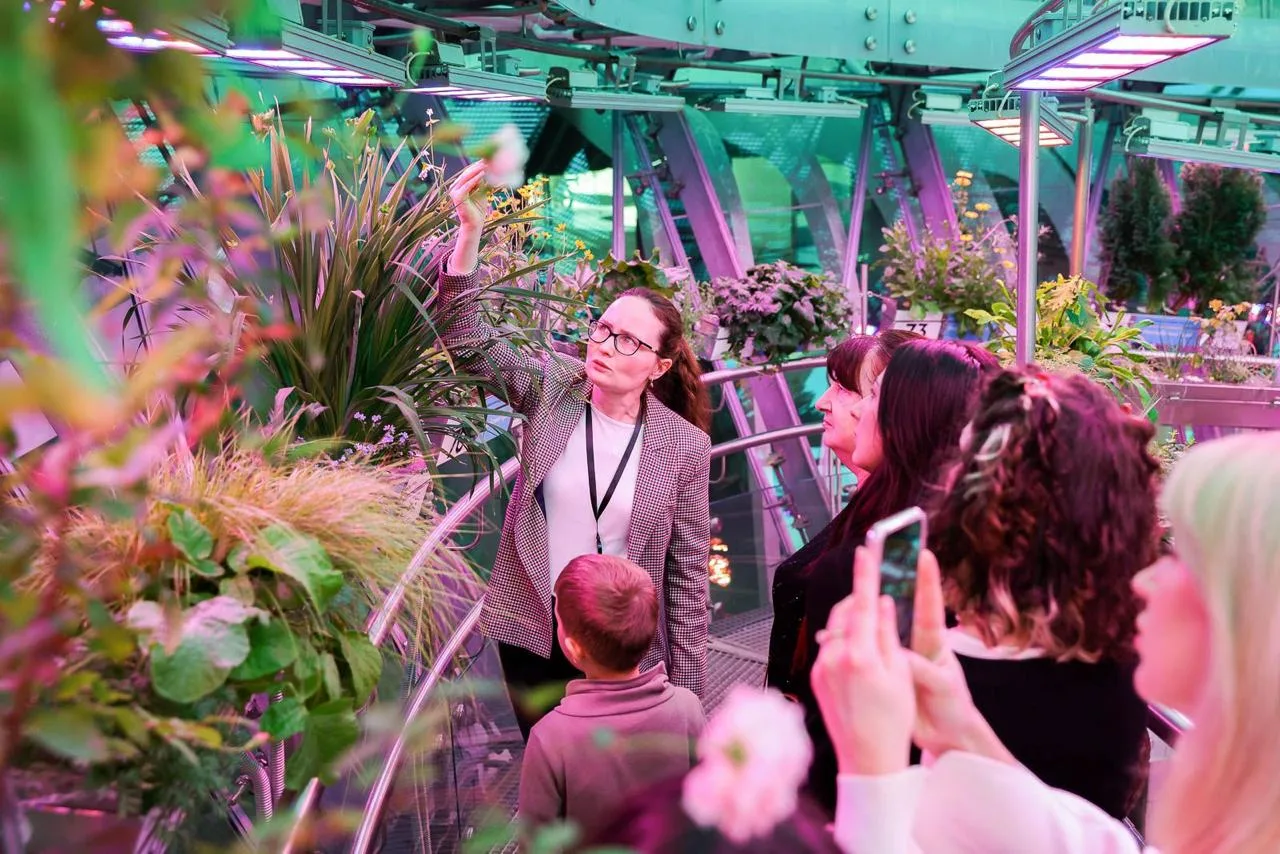 Где искать весеннее настроение в Москве, если за окном только серость и тучи? Где искать весеннее настроение в Москве, если за окном только серость и тучи?