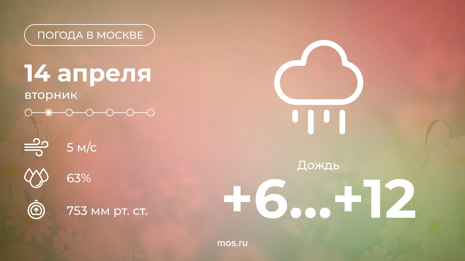 Доброе утро! Сегодня днем в Москве ожидается дождь