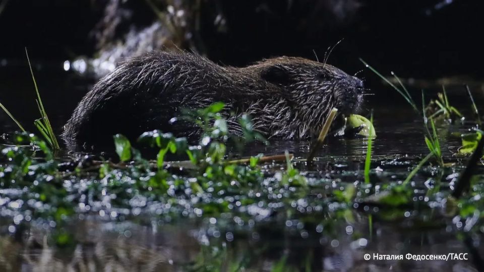 ������ ��������� ���� � ����� ���������� ������� ������ �������