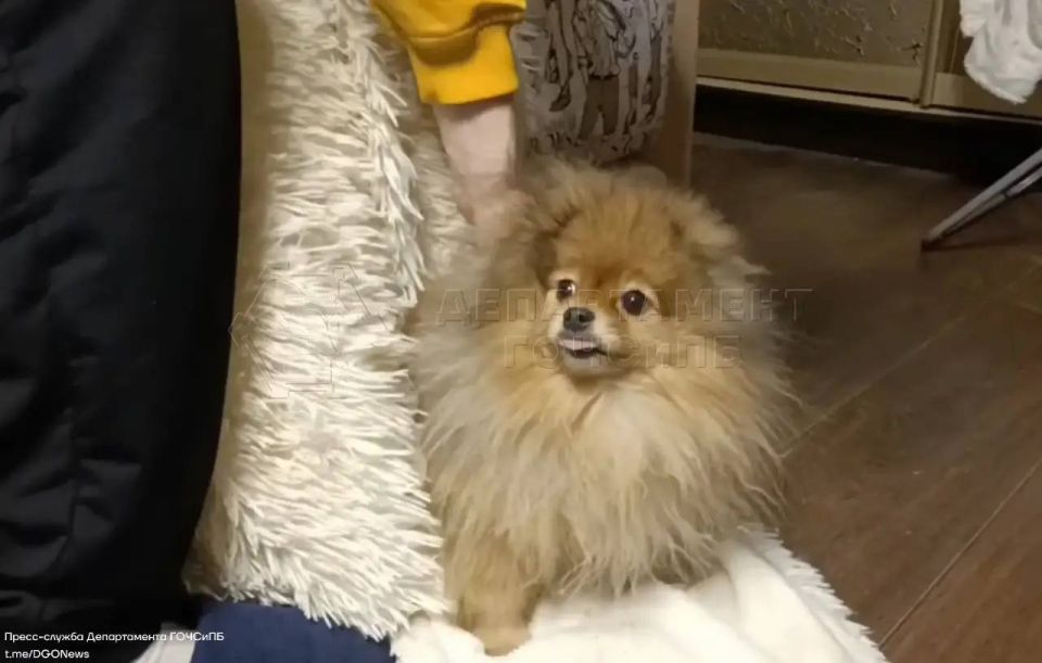 � ������ ��������� �����.. ������ �������� ��� ������� � ������� �������, � ������� ������ �� ����� �������. �������� ������� 112