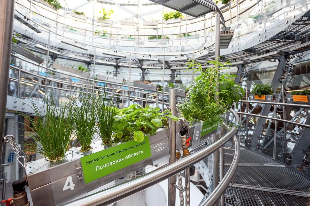 Где искать весеннее настроение в Москве, если за окном только серость и тучи? Где искать весеннее настроение в Москве, если за окном только серость и тучи?