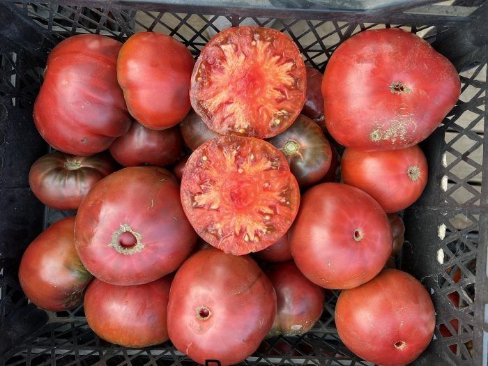 ������ � ������������� ����� � ����� ������������ �������� ��� ������� � ��������� ������