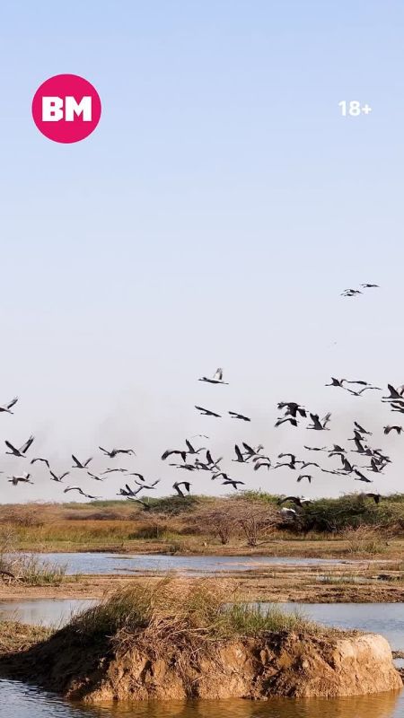 ������� ������ �������: �� ���� ������ �������� ��� ������� ��������� ������!