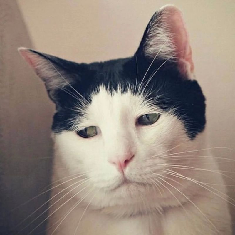 � ������ ����, �������, ����� �������� ��� �� �������