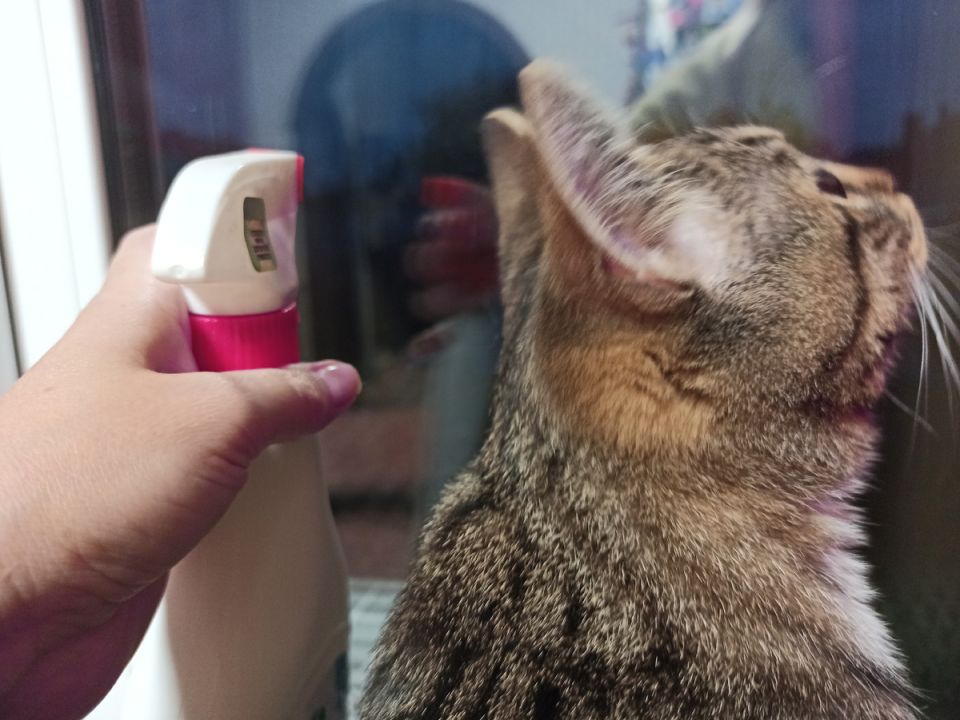 ������� ��������� ������� ����: ��� �������� ������������ ������