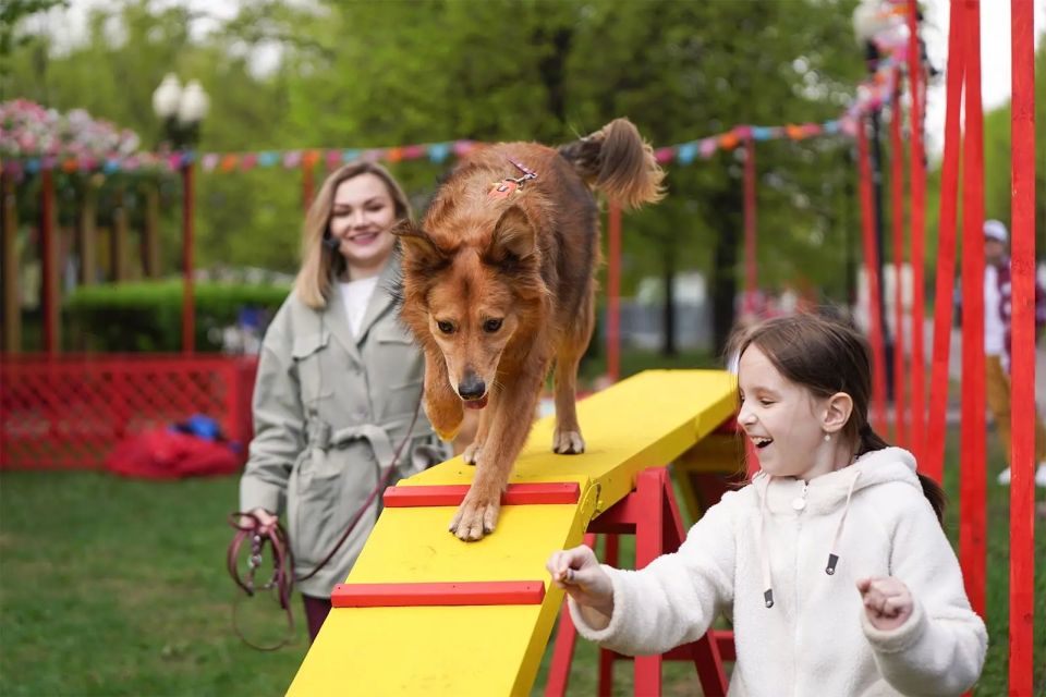 � 16 ������ �� �������� �������� �������� ����������� ����������� � ������������ ����